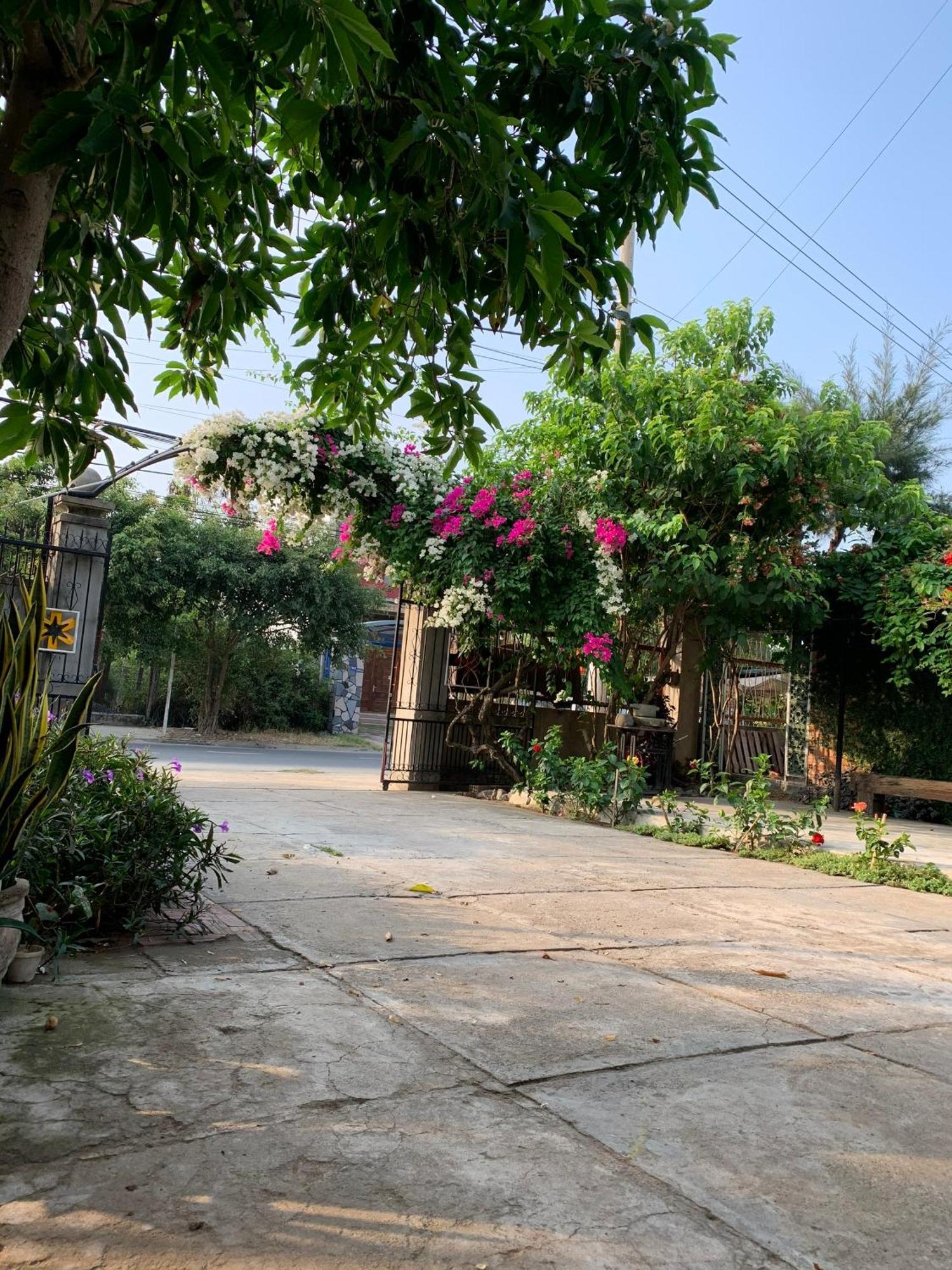 Yellow Farm Homestay Dong Tac Екстериор снимка
