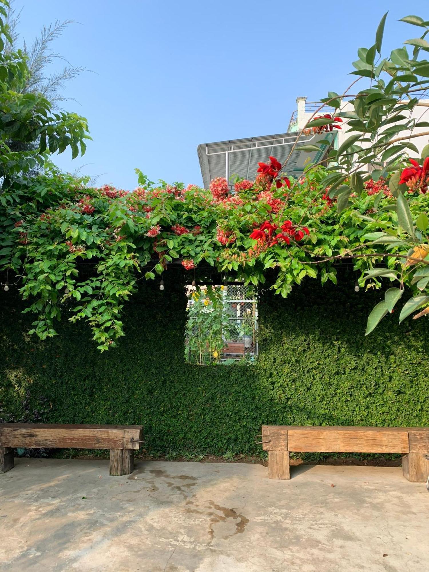 Yellow Farm Homestay Dong Tac Екстериор снимка
