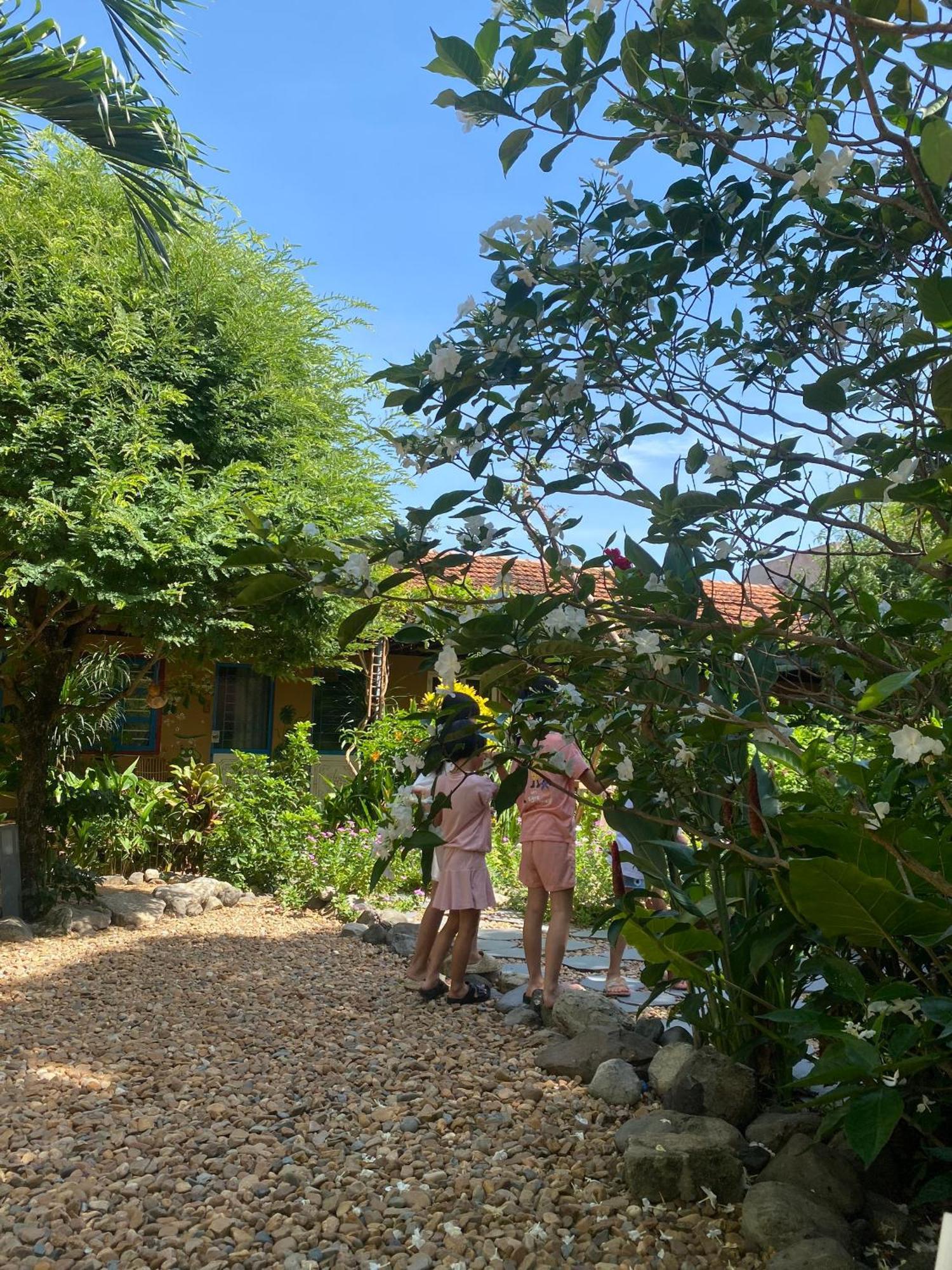Yellow Farm Homestay Dong Tac Екстериор снимка