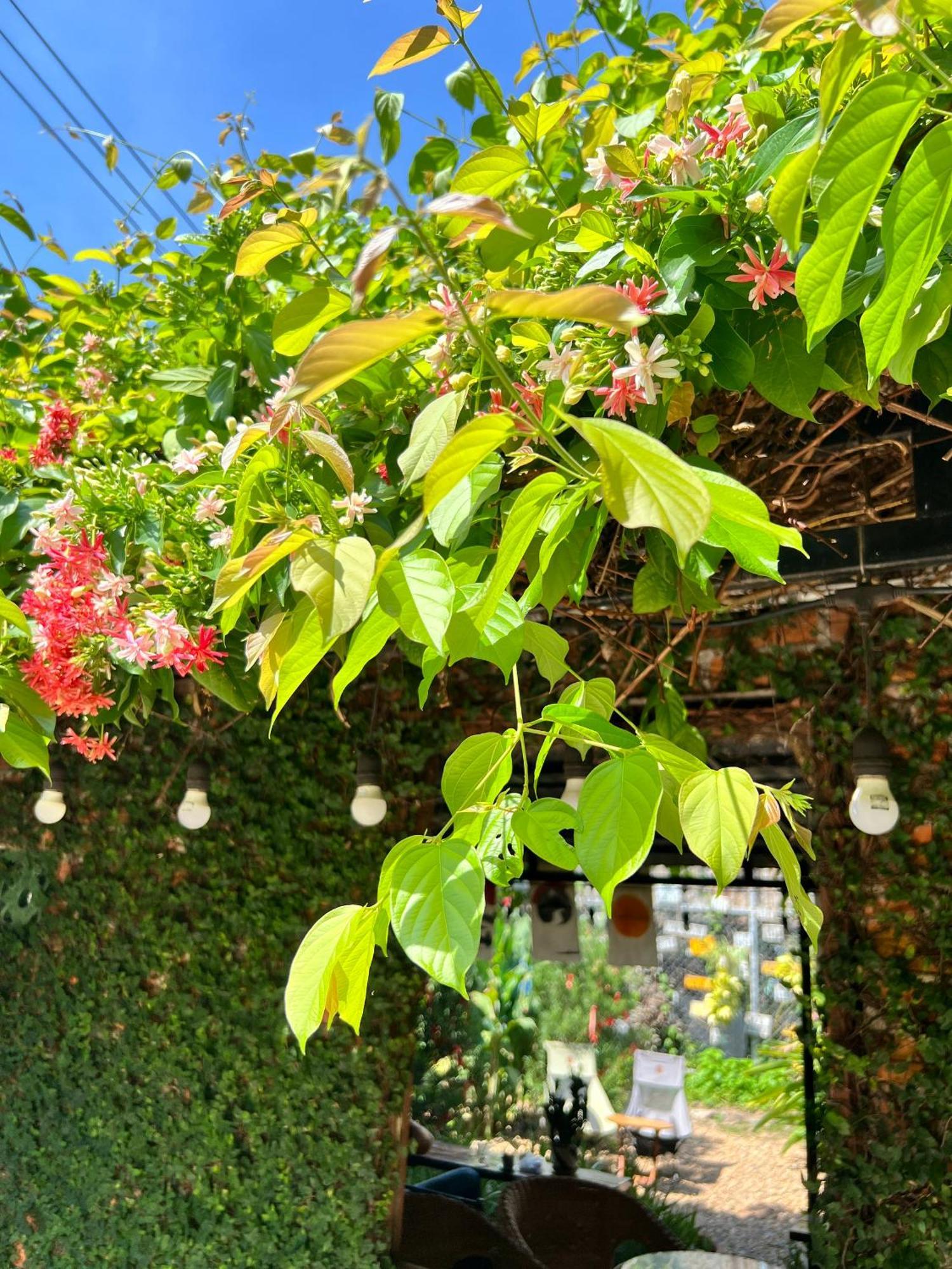 Yellow Farm Homestay Dong Tac Екстериор снимка