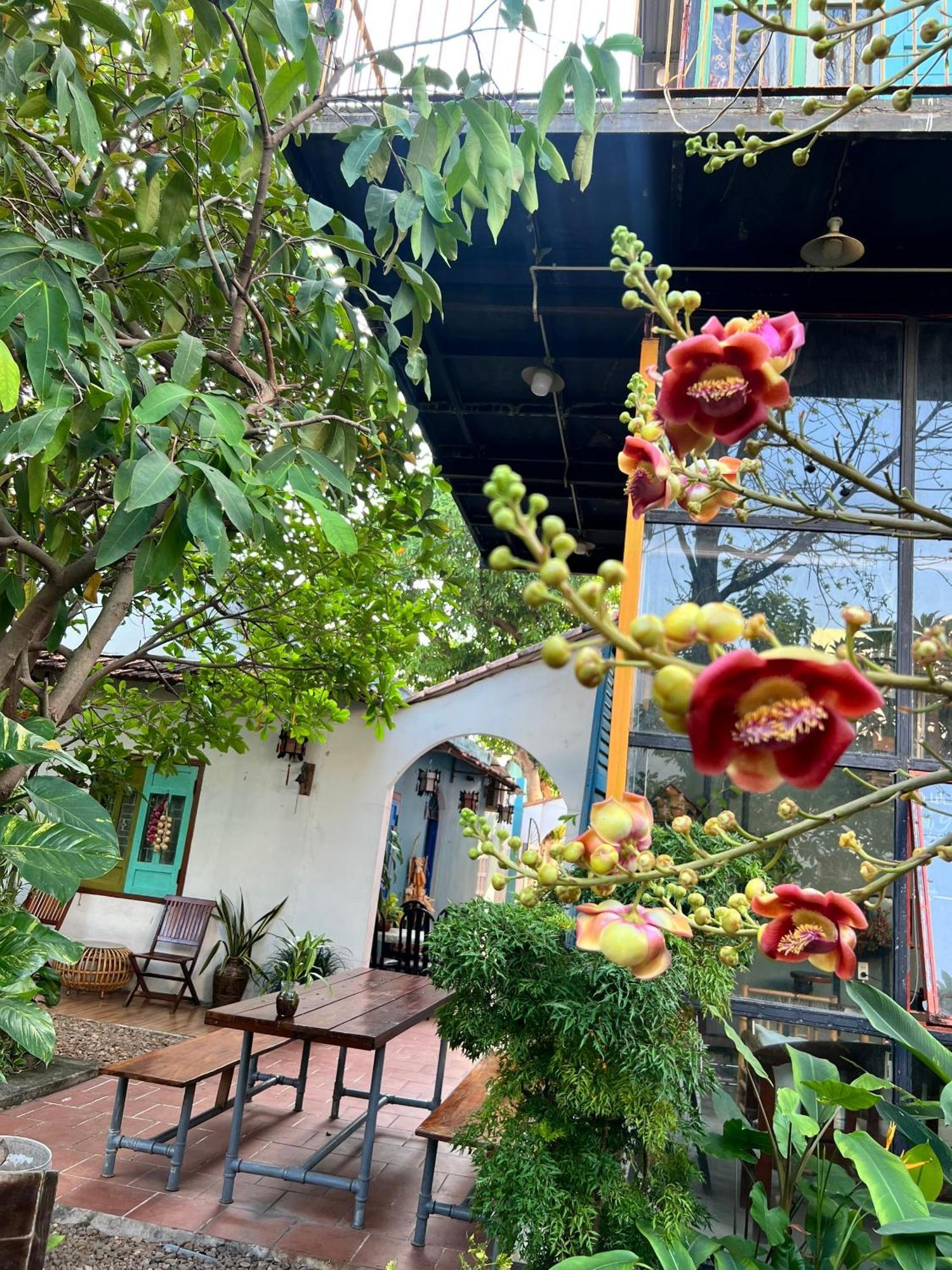 Yellow Farm Homestay Dong Tac Екстериор снимка